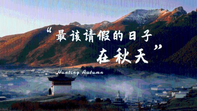 救援卷耳兔