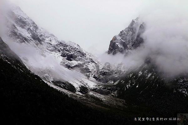 全民烧脑3去广告版