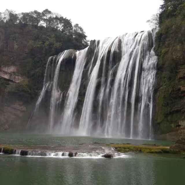 什么是炒房客